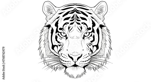 Striking line drawing of a majestic tiger head with intricate stripe patterns