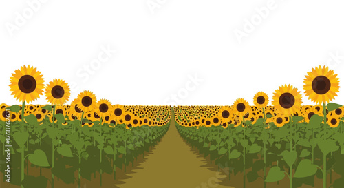 Endless summer: A bright sunflower field illustration spreading joy and warmth in minimalist style