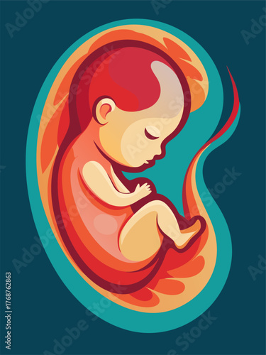 Human fetus in the womb. Pregnancy and maternity concept image. Cartoon vector illustration