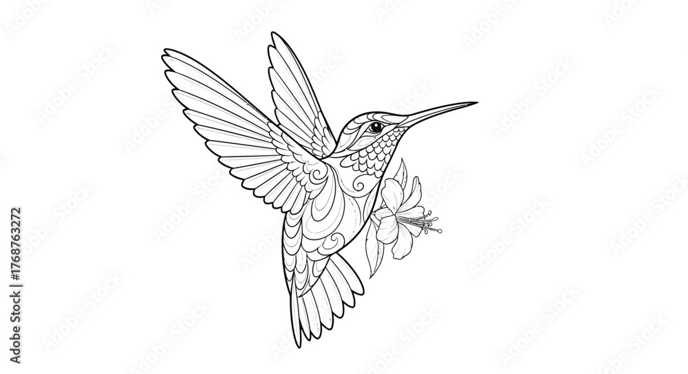 Fototapeta premium Hummingbird detailed artwork elegantly drawn alongside tropical blossom image
