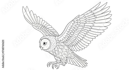 Detailed line art of a barn owl soaring with outstretched wings against a plain background