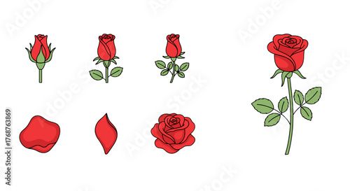 Set of stylized red roses in various stages of bloom and separate petals, presented against a black background, showcasing the beauty and elegance of these iconic flowers in a clean, graphic