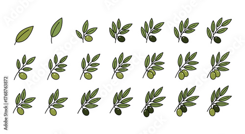 Collection of stylized olive branches with varying numbers of leaves and olives, showcasing the growth stages from a single leaf to a mature branch with multiple fruits, presented in a clean, flat