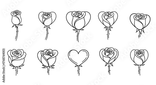 A vibrant and detailed close-up illustration of a single, perfectly formed rose, captured in a moment of exquisite bloom, showcasing its delicate petals and intricate structure, rendered with a rich