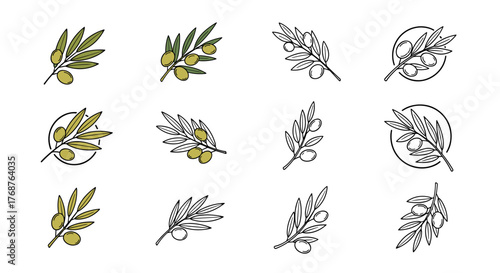 Collection of twelve stylized olive branch icons, featuring both colorful and outline designs, perfect for branding, logos, and decorative elements in food, beverage, and lifestyle contexts