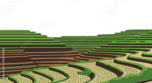 Detailed illustration showcasing the agricultural technique of rice terraces landscapes