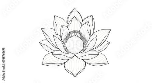 Elegant lotus flower illustration with detailed line work and intricate petal design displayed on