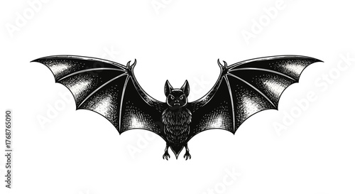Detailed vintage illustration of a bat with spread wings capturing a gothic aesthetic perfect for