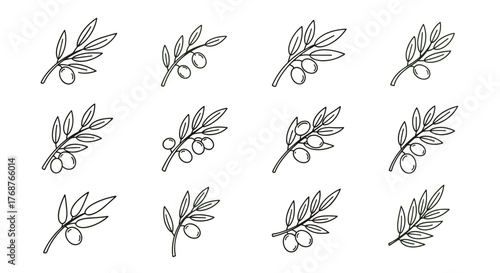 A collection of twelve stylized olive branch illustrations, each featuring delicate leaves and ripe olives, presented in a clean, minimalist outline style against a stark black background, perfect