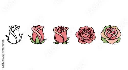 A sequence of five stylized roses in various stages of bloom, from a faint outline to a fully opened flower, presented against a stark black background, showcasing the natural progression of a rose's