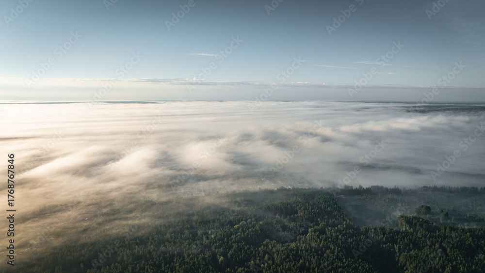 Fototapeta premium The aerial view captures a serene forest blanketed in morning mist under a clear blue sky. Vilnius, Lithuania