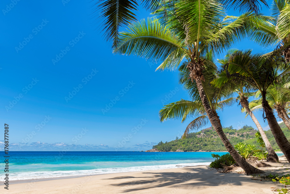 Fototapeta premium Beautiful beach with palms and turquoise sea in Caribbean island. Summer vacation and tropical beach concept.
