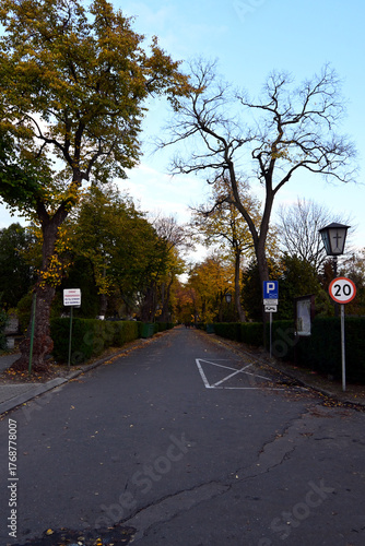 Autumn at Brodno old cemetery (Polish: Cmentarz Brodnowski), the largest cemetery in Warsaw, Poland. One of the largest cemeteries in Europe (1.2 million burials)