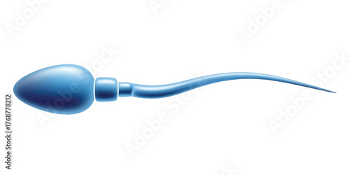 Clean and scientific illustration of a single spermatozoan designed with a smooth gradient body and curved tail