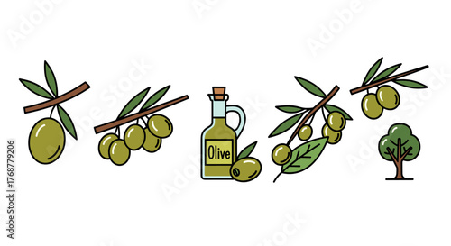 A collection of stylized, flat design icons representing olives and olive oil, featuring olive branches with green olives, a bottle of olive oil labeled 'Olive', and a small olive tree, all set