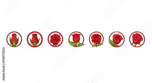 A sequence of red rose illustrations showing the stages of blooming, from a tight bud to a fully opened flower, each enclosed in a red circular frame, symbolizing growth, beauty, and the passage of