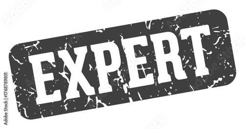 expert rectangular sign. expert stamp