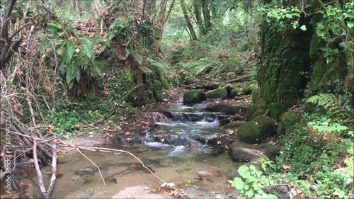 Asmes River in the town of Louredo da Serra in the city of Paredes in Portugal, water stream in autumn with the ruins of an old water mill