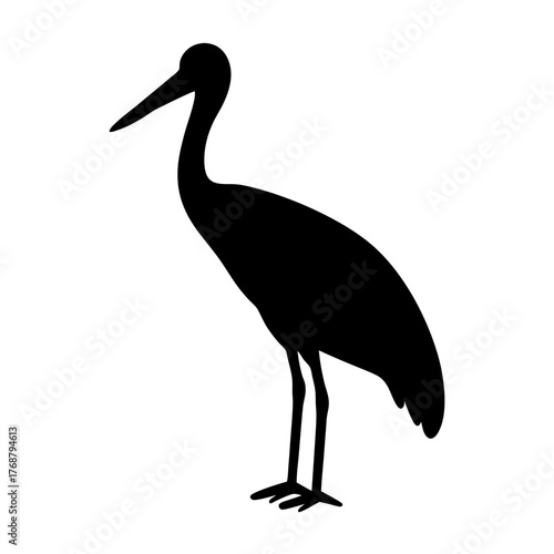 Elegant silhouette of a longnecked bird standing gracefully on its feet