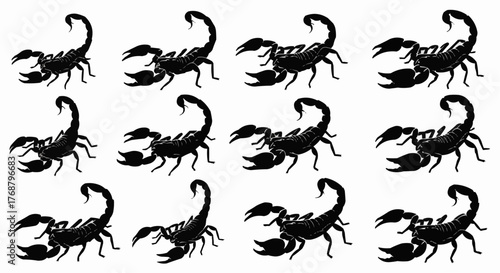 A repeating pattern of twelve black scorpions with curled tails and prominent pincers on a white background