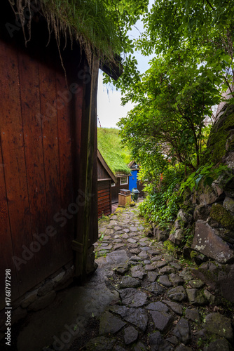 Narrow cobblestone path between old wooden houses and greenery