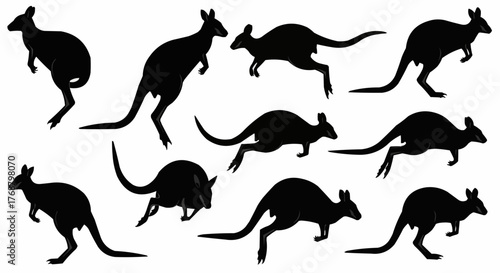 Silhouette depiction of several kangaroos in various poses against a white background displaying movement and form