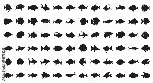 Silhouette collection featuring diverse fish species arranged in a structured grid pattern display of marine life