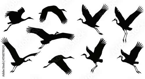 Silhouette illustration showing a flock of cranes in various stages of flight against a white background