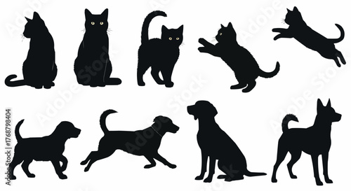 Silhouette representations of various cats and dogs in different poses on a white background