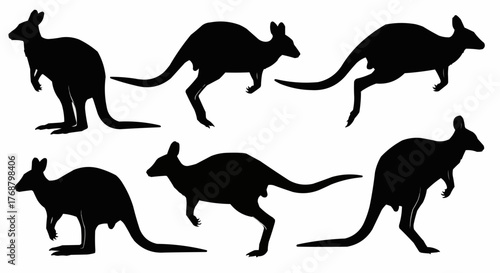 Silhouettes of kangaroos in various poses against a white background showing movement and wildlife scenes
