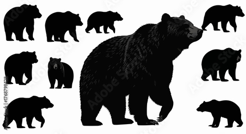 Collection of black bear silhouettes in various poses against a white background showcasing wildlife