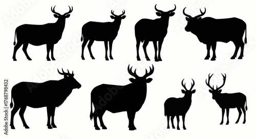 Silhouette illustration showing a group of deer with varying antler sizes and body shapes standing together