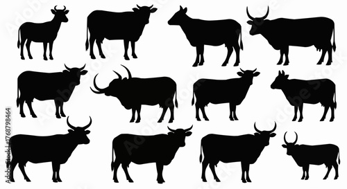 Silhouette illustration showcasing a diverse group of cows in various poses and horn shapes standing