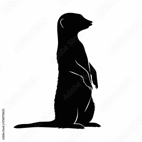 Silhouette of a meerkat standing upright with its paws clasped in front looking to the right side view image