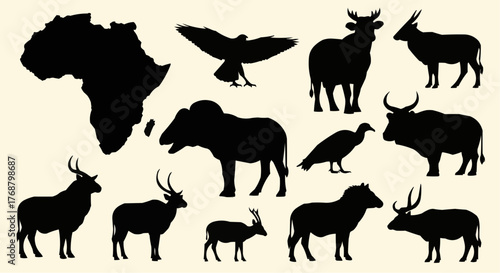 Silhouette of africa continent with various african animals wildlife and birds in black color illustration