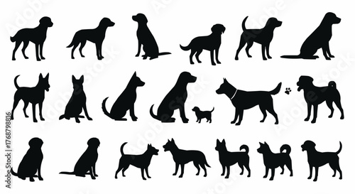 Silhouette illustration showcasing a diverse collection of canine breeds in various poses