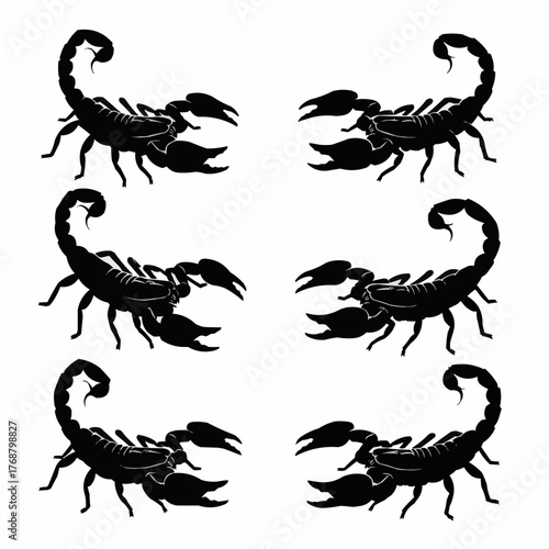 Six black scorpion silhouettes arranged symmetrically on a white background in a repeating pattern design