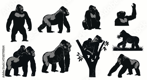 Illustration showing multiple gorillas in different poses such as walking and sitting in a tree