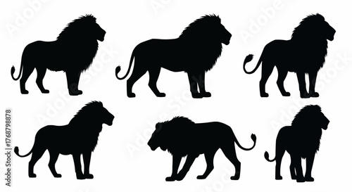 Collection of lion silhouettes in various poses standing and walking on a white background