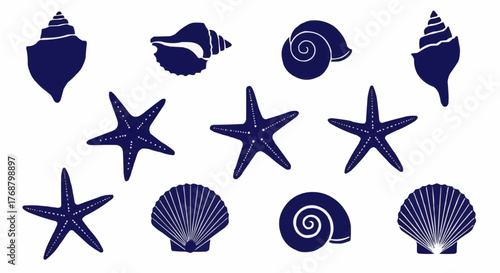 Illustration of assorted seashells and starfish in a dark blue color on a white background surface