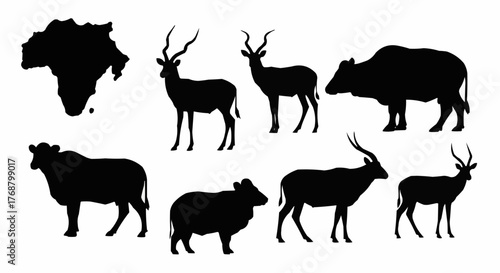 Black silhouettes of african animals including antelopes and cattle with africa continent outline