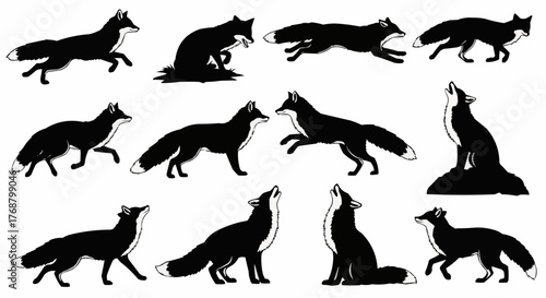 Silhouette illustration of various foxes in different poses and actions on a white background design