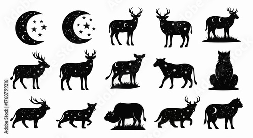 Silhouette images of moon phases and various animals decorated with stars and celestial elements