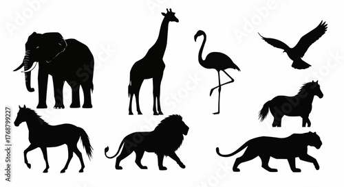 A collection of animal silhouettes including an elephant giraffe lion and various other wildlife forms