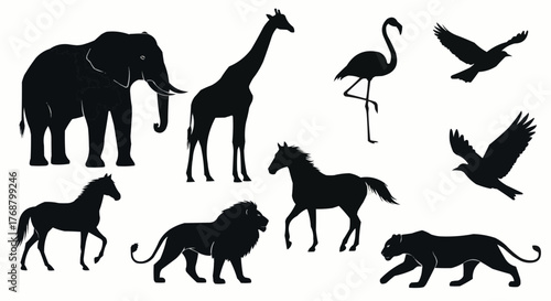Silhouette illustration of diverse animals including elephant giraffe lion and birds in black