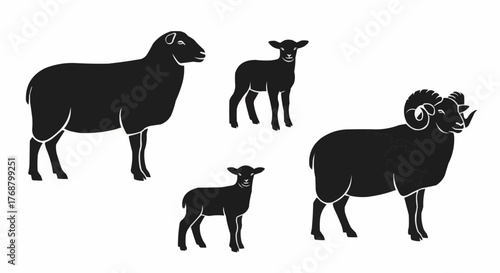 Illustration of a ewe, a ram with horns, and two lambs in black silhouette on a white background