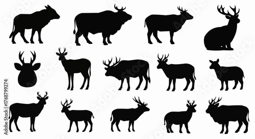 Silhouette collection of various deer and elk species in different poses on a white background art