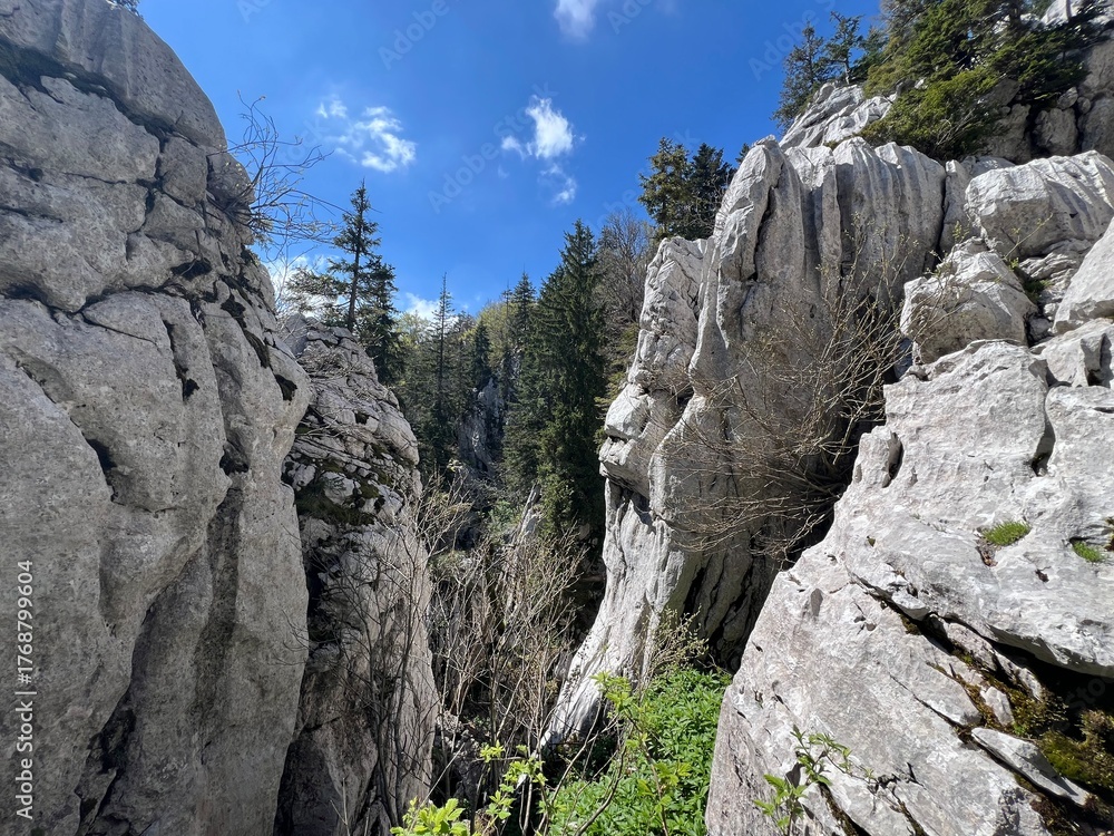 Fototapeta premium Strict nature reserve White rocks (Croatia) - Strenges Naturschutzgebiet Bijele Stijene (Kroatien) - Strogi rezervat prirode Bijele stijene, Ogulin (Gorski kotar, Hrvatska)