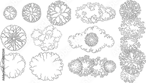 A collection of tree top view symbols for architectural and landscape design plans. Black and white line drawing illustrations for mapping and site plans