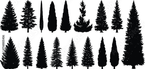Collection of Silhouette Evergreen Trees and Conifers Isolated on White Background